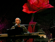 Koncert LLuisa LLacha