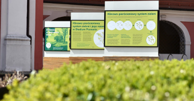 Na zdjęciu trzy plansze wystawy, na pierwszym planie rośliny, w tle budynek urzędu miasta