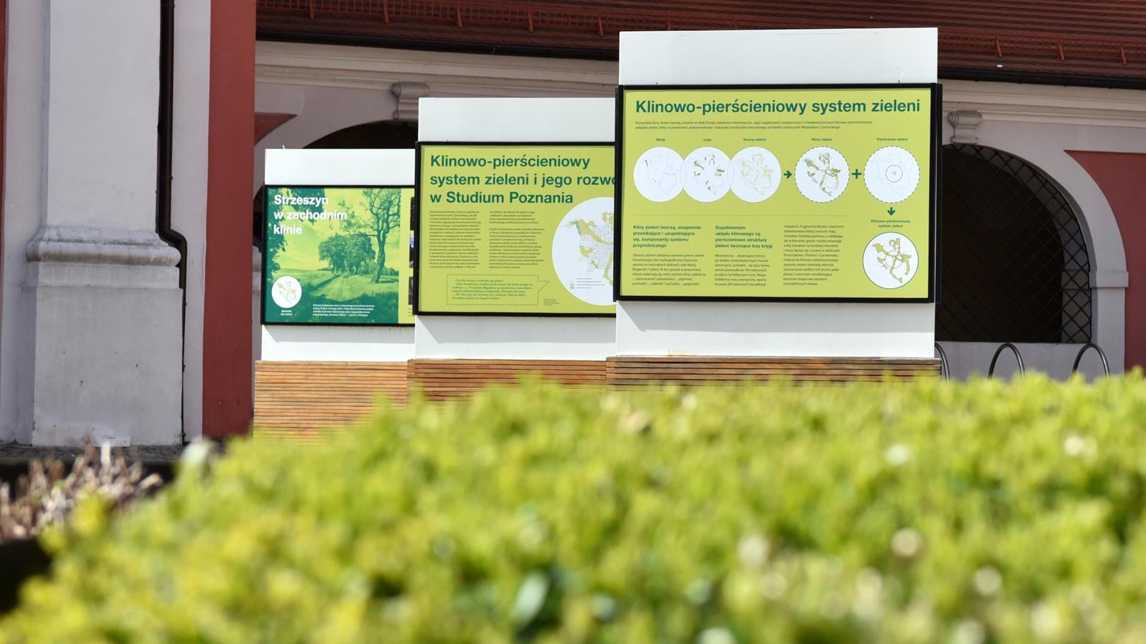 Na zdjęciu trzy plansze wystawy, na pierwszym planie rośliny, w tle budynek urzędu miasta - grafika artykułu
